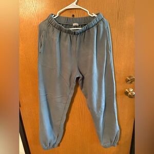 Brandy Melville Slate Blue Jogger Pants